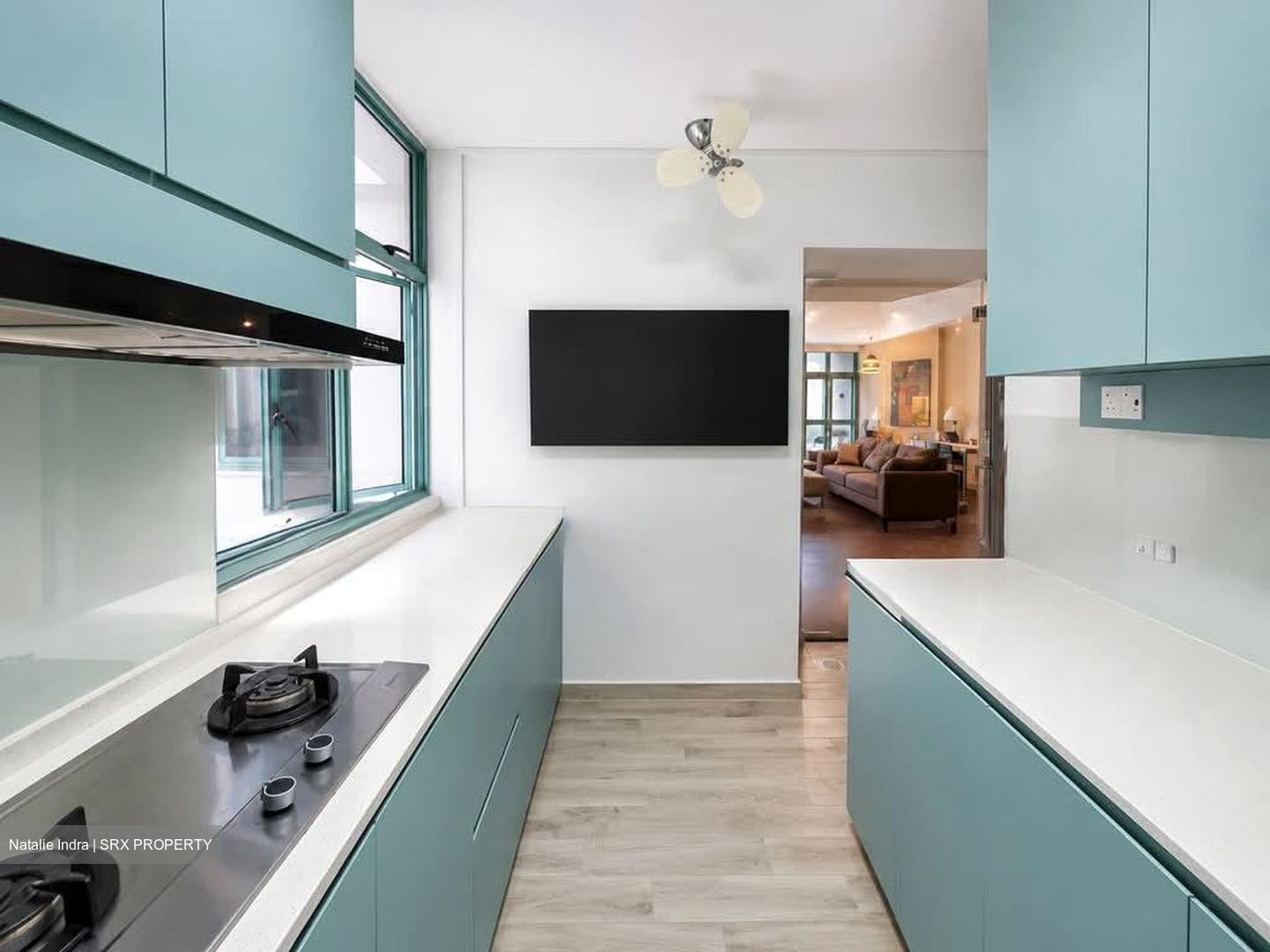 Blk 474 Segar Gardens (Bukit Panjang), HDB Executive #602933031